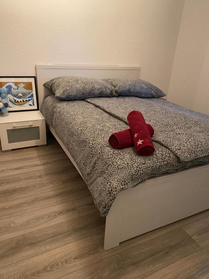 Fewo Dana Daire Neckarsteinach Dış mekan fotoğraf