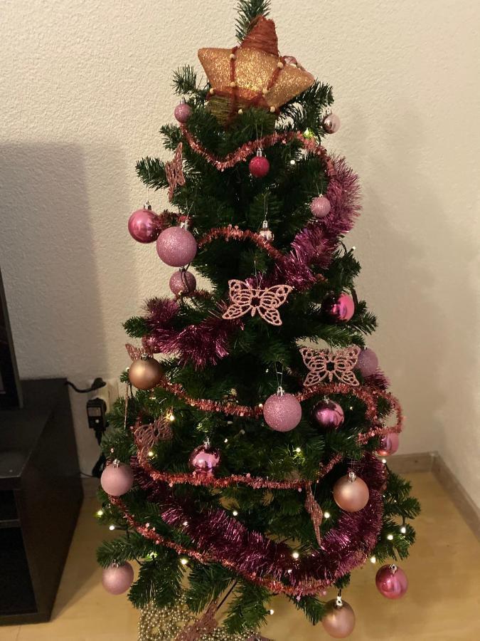 Fewo Dana Daire Neckarsteinach Dış mekan fotoğraf