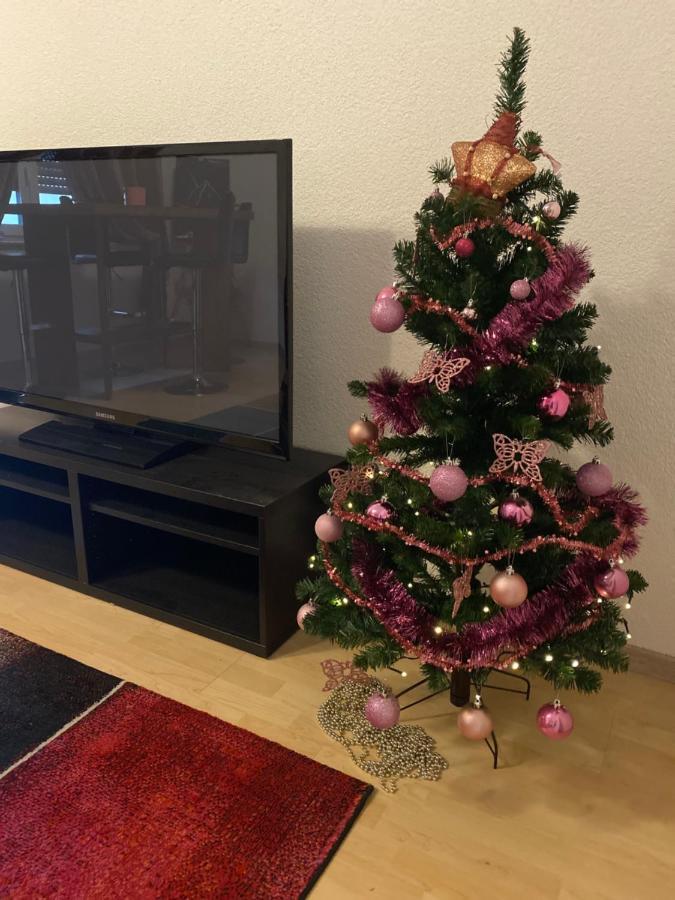 Fewo Dana Daire Neckarsteinach Dış mekan fotoğraf